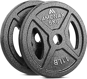 Burdinazko disko parea 5kg